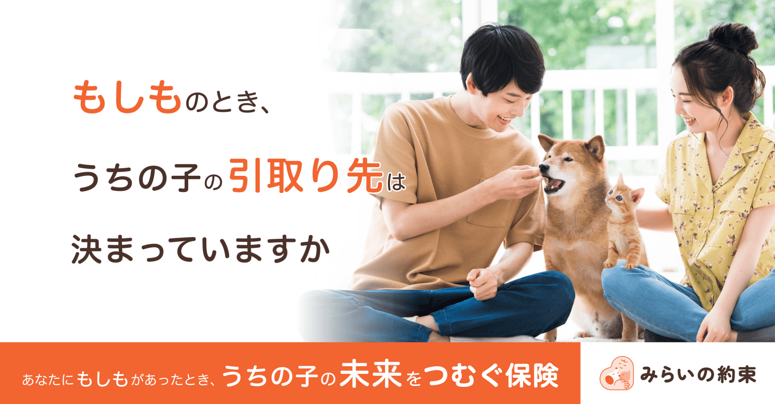 リトルファミリー少額短期保険株式会社｜あなたの小さな家族を