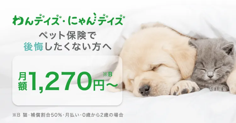 わんデイズ・にゃんデイズ ペット保険のご案内
