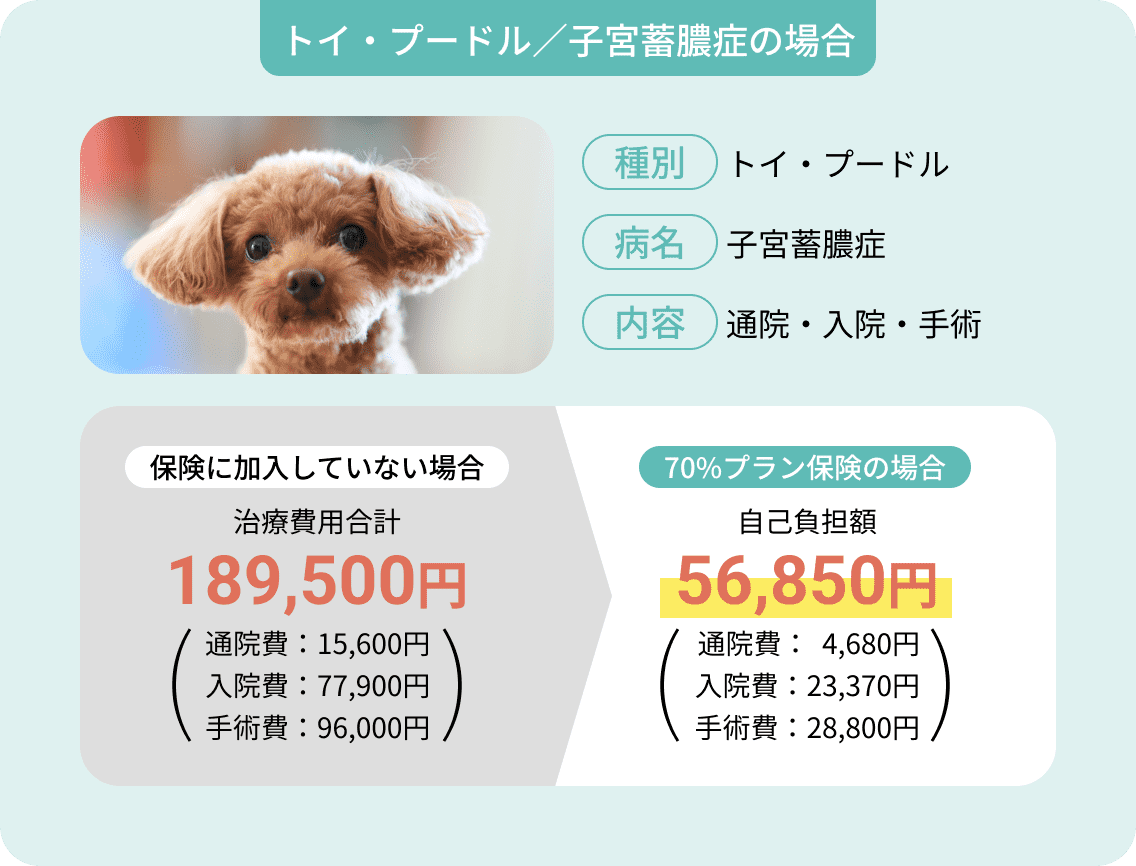 保険金お支払い例