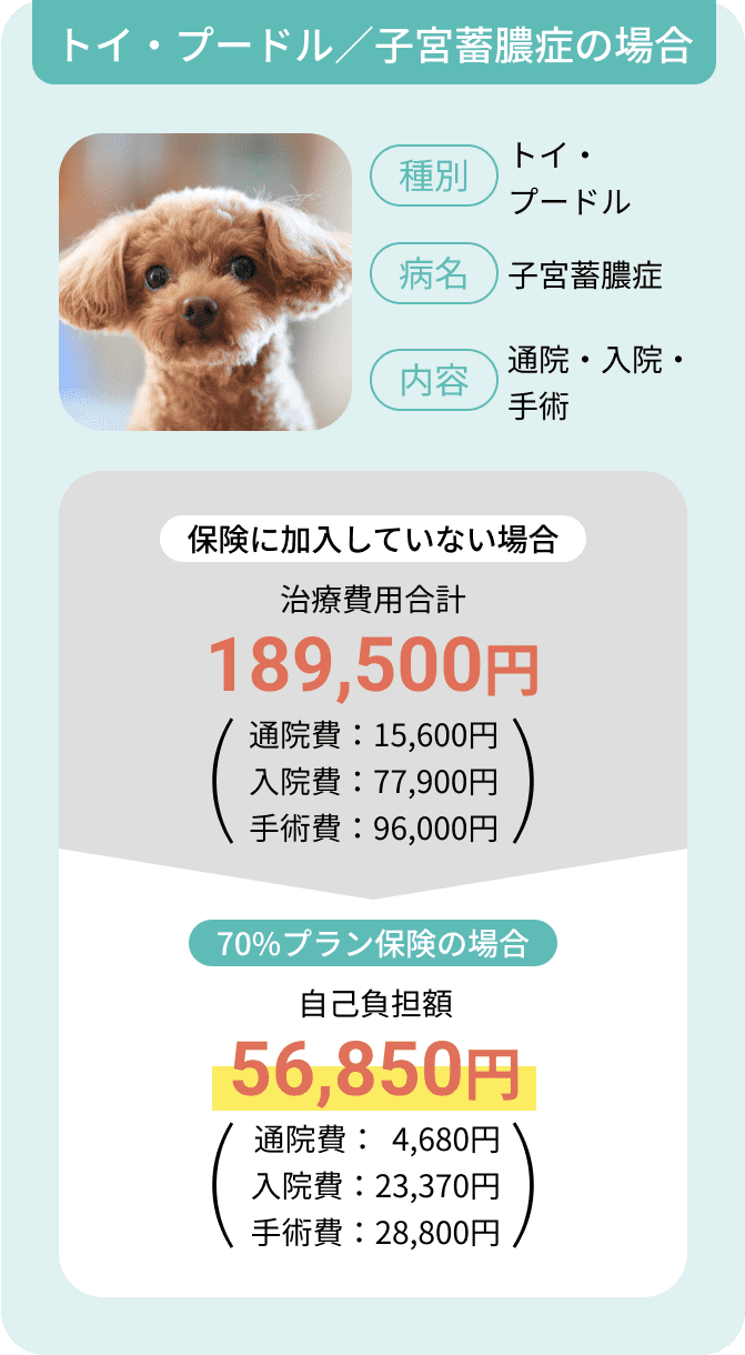 保険金お支払い例