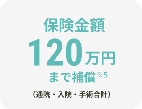 保険金額120万円まで補償
