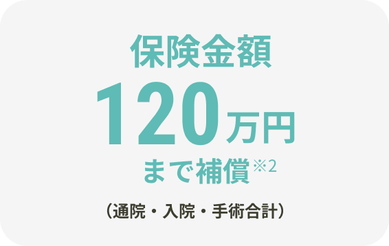 保険金額120万円まで補償