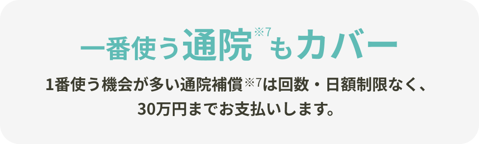 いちばん使う通院もカバー