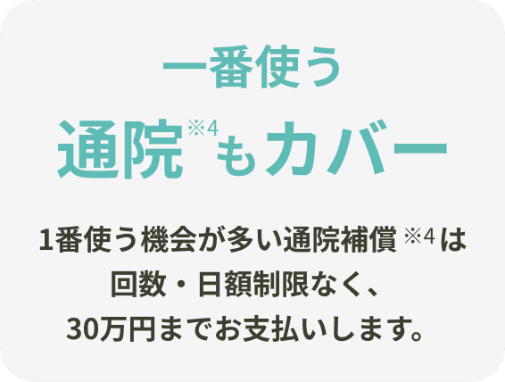 いちばん使う通院もカバー