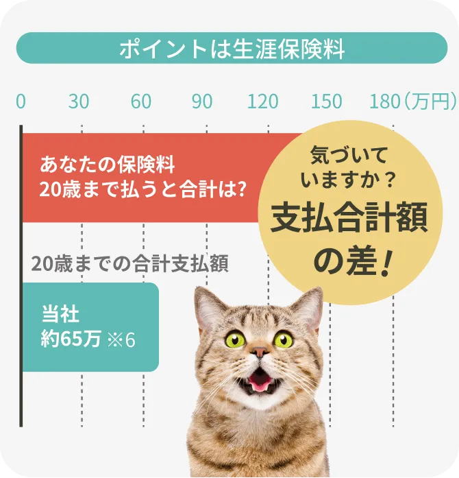 ポイントは生涯保険料