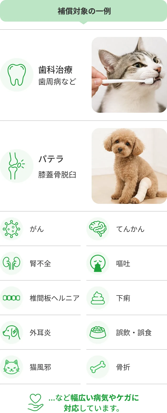 補償対象の一例（がん・てんかん・腎不全・椎間板ヘルニア・歯科治療・パテラ ほか）