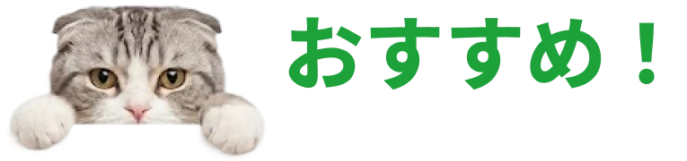 おすすめ！