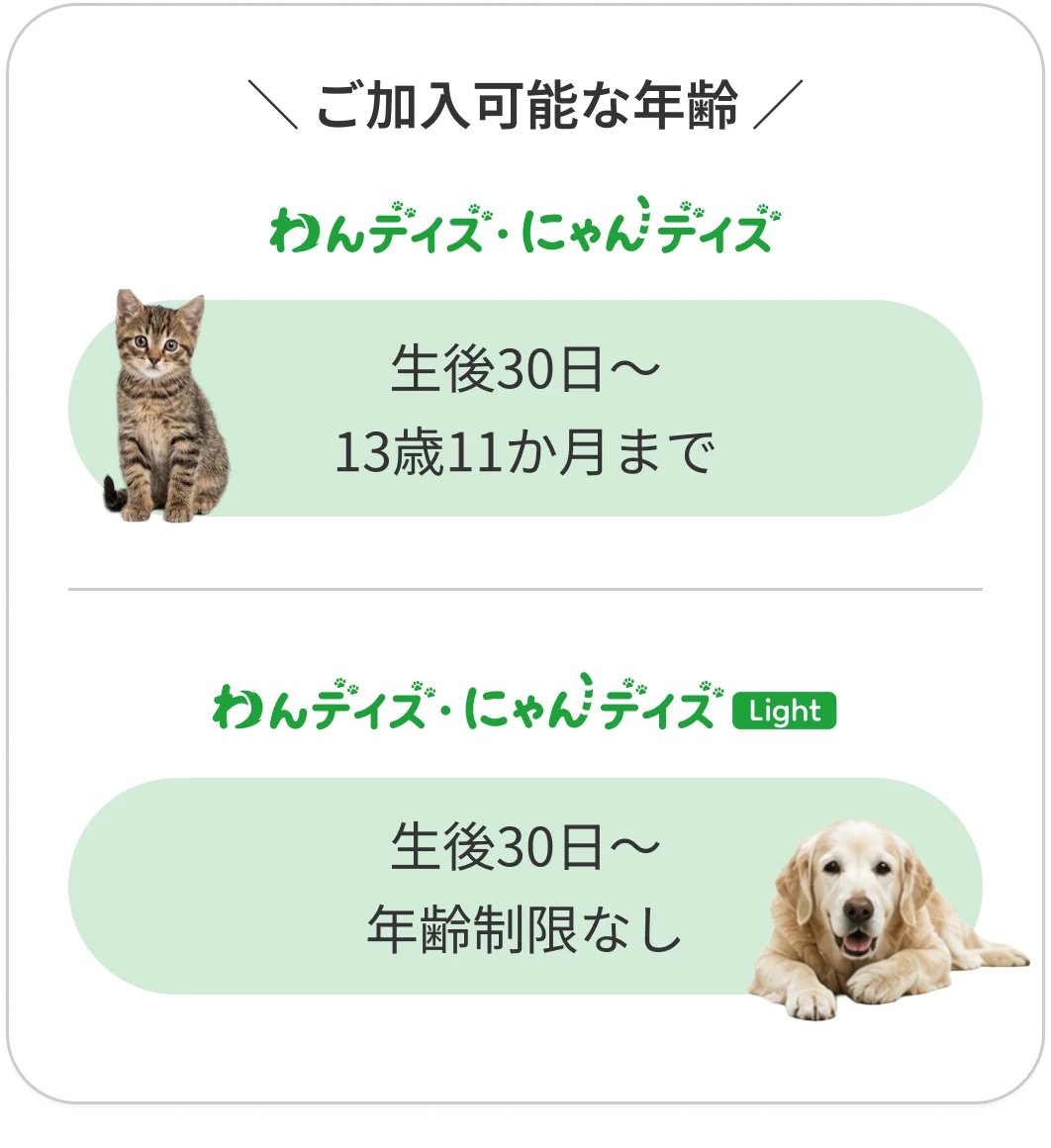 ご加入可能な年齢：わんデイズ・にゃんデイズは生後30日〜満13歳11か月、Lightは生後30日〜年齢制限なし