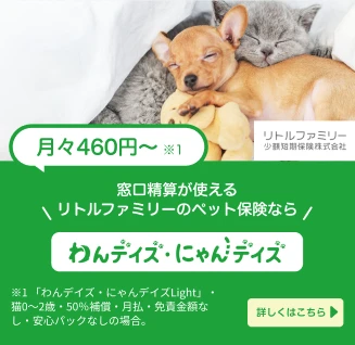 窓口精算が使えるリトルファミリーのペット保険なら わんデイズ・にゃんデイズ