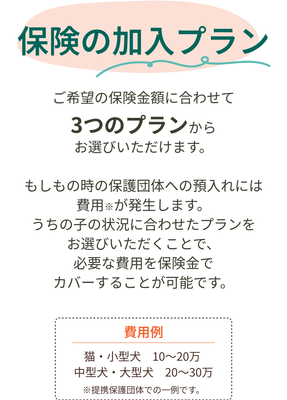 保険の加入プラン ご希望の保険金額に合わせて3つのプランからお選びいただけます。もしもの時の保護団体への預入れには費用※が発生します。うちの子の状況に合わせたプランをお選びいただくことで、必要な費用を保険金でカバーすることが可能です。