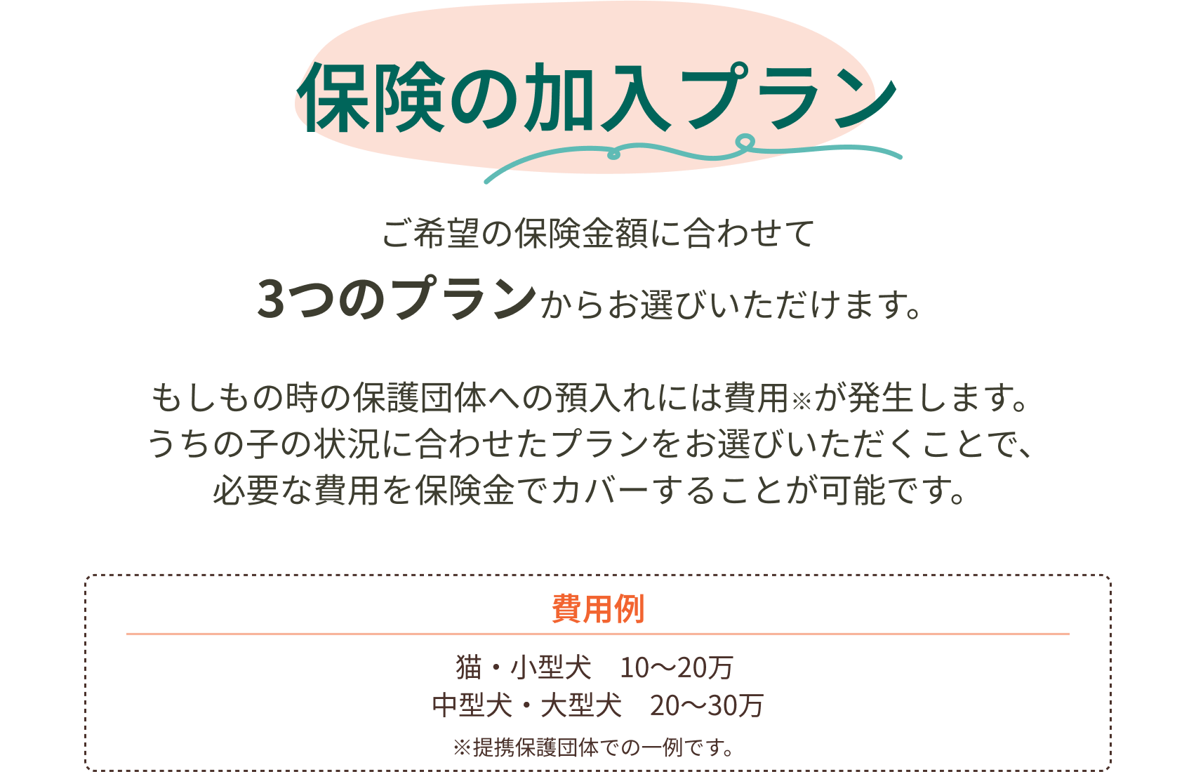 保険の加入プラン ご希望の保険金額に合わせて3つのプランからお選びいただけます。もしもの時の保護団体への預入れには費用※が発生します。うちの子の状況に合わせたプランをお選びいただくことで、必要な費用を保険金でカバーすることが可能です。