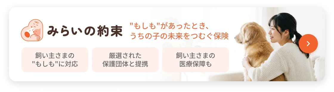 みらいの約束｜“もしも”があったとき、うちの子の未来をつむぐ保険