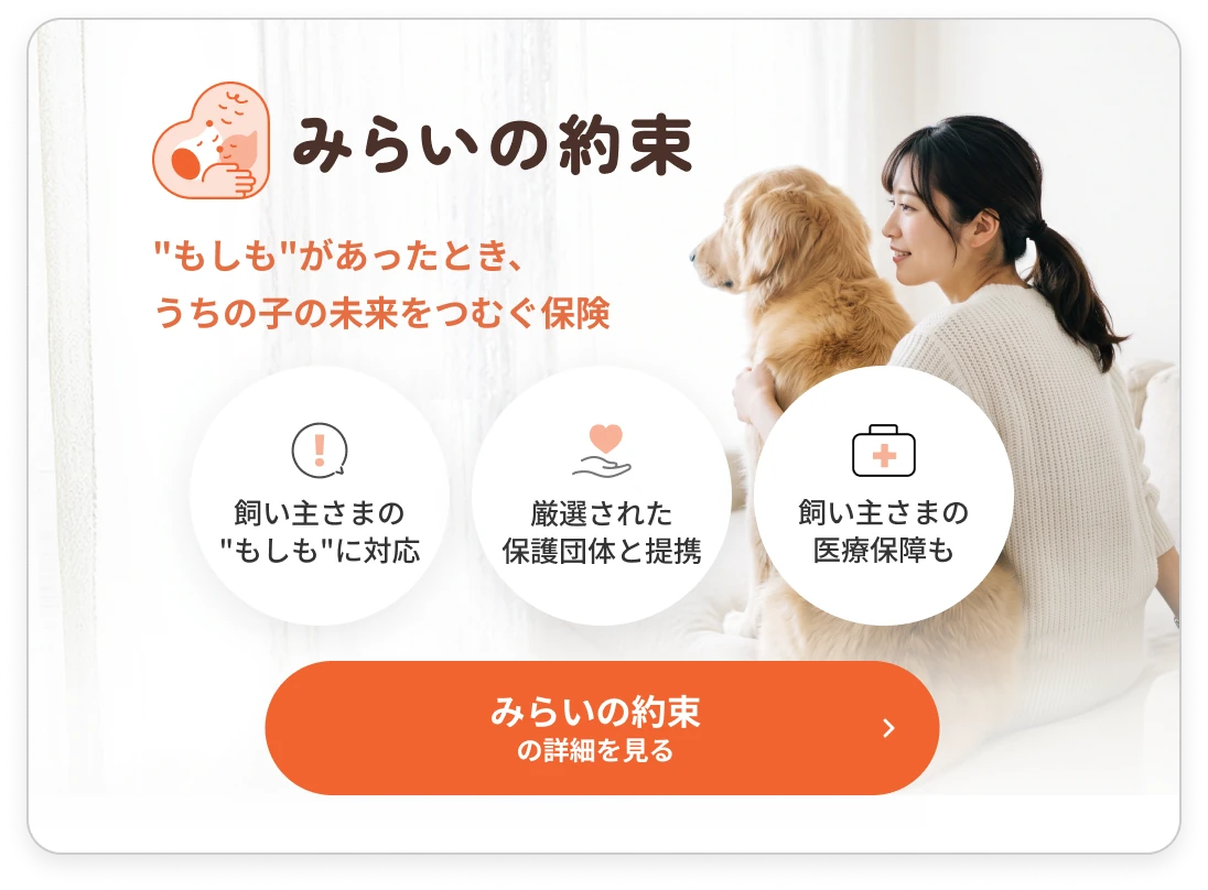 みらいの約束｜“もしも”があったとき、うちの子の未来をつむぐ保険。飼い主さまの“もしも”に対応・厳選された保護団体と提携・飼い主さまの医療保障も。詳細を見る