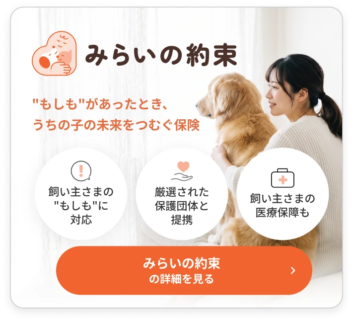 みらいの約束｜“もしも”があったとき、うちの子の未来をつむぐ保険。飼い主さまの“もしも”に対応・厳選された保護団体と提携・飼い主さまの医療保障も。詳細を見る