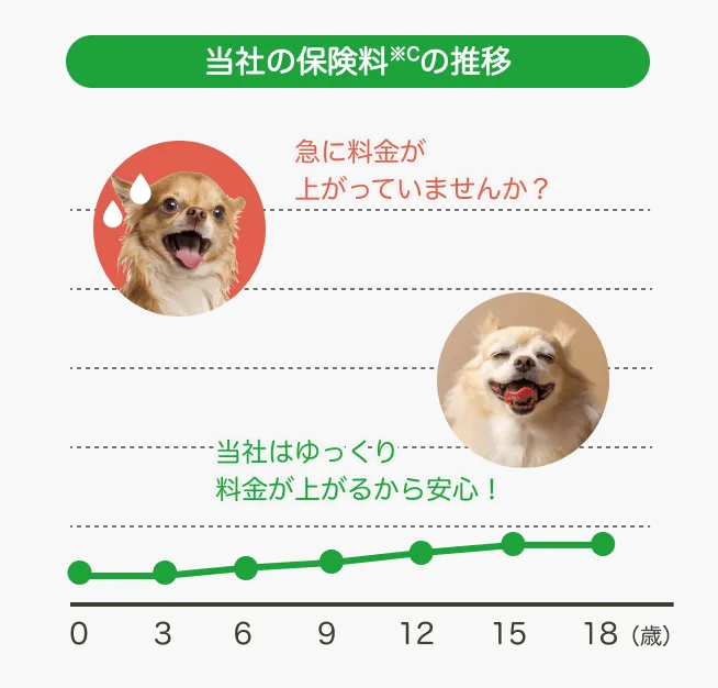 当社の保険料の推移を示すグラフ画像。横軸は0~18歳まで。急に料金が上がっていませんか？当社はゆっくり料金が上がるから安心！