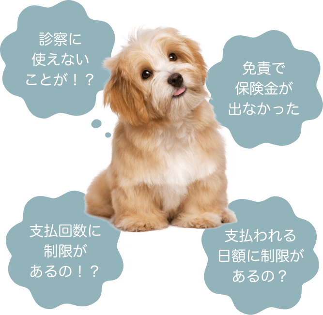 どうやって保険を選べばいいかわからない...。診察に使えないことが！？ 免責で保険金が出なかった 支払回数に制限があるの！？ 支払われる日額に制限があるの？