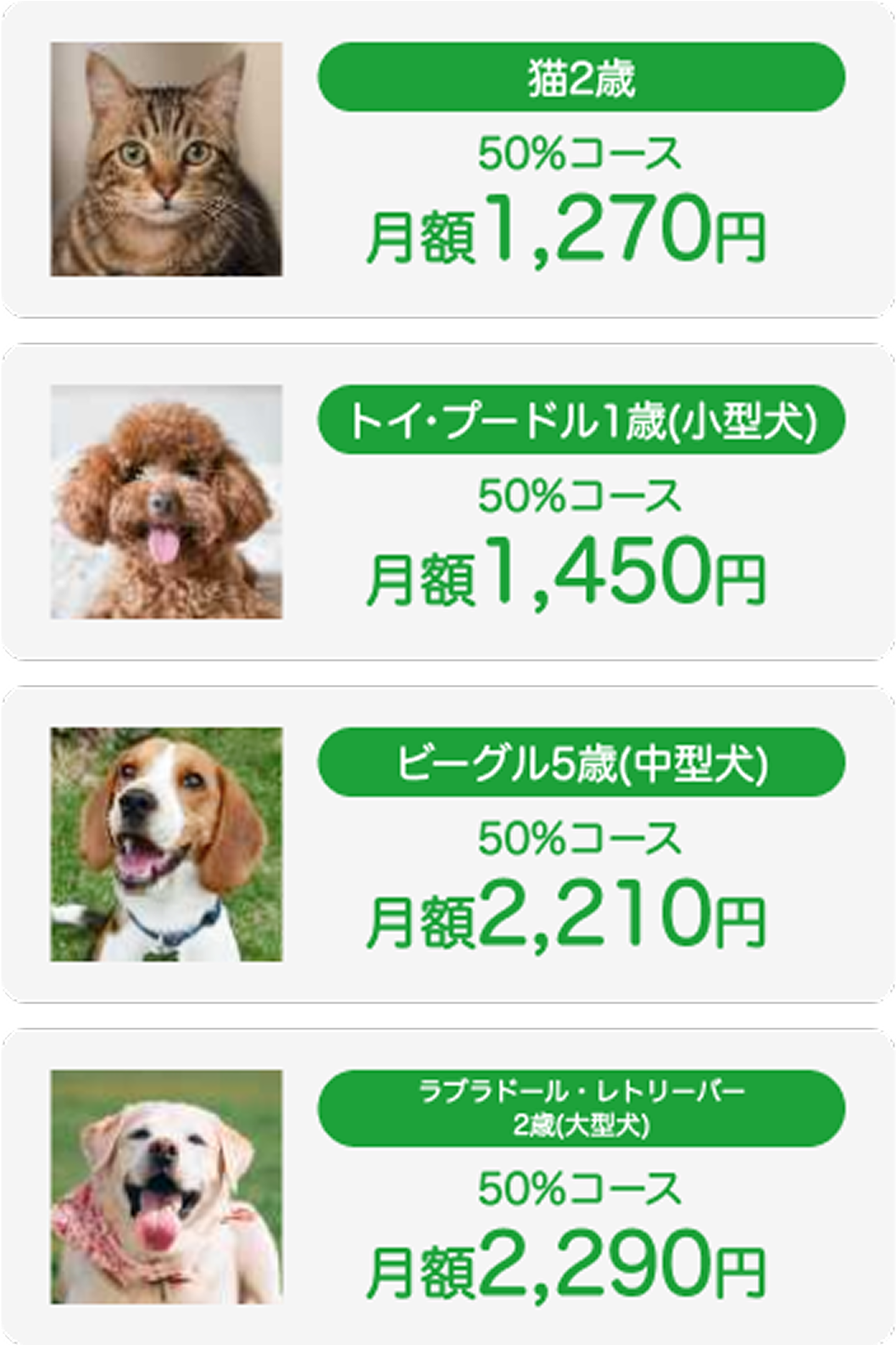 猫2歳 50%コース 月額1,270円 | トイ・プードル1歳 50%コース 月額1,450円 | ビーグル2歳 50%コース 月額2,210円 | ラブラドール・レトリバー2歳(大型犬) 50%コース 月額2,290円