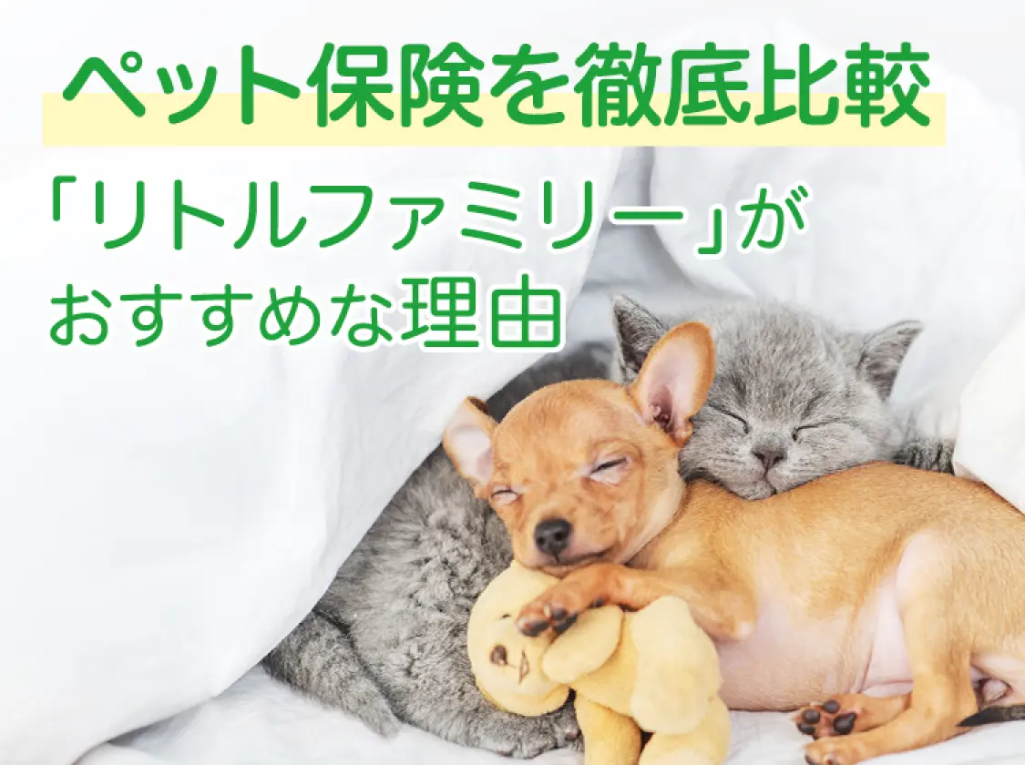 ペット保険を徹底比較 「リトルファミリー」がおすすめな理由 | ペット保険 NEW よい保険・悪い保険 2024 第1位
