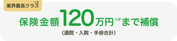 業界最高クラス 保険金額120万円まで補償
