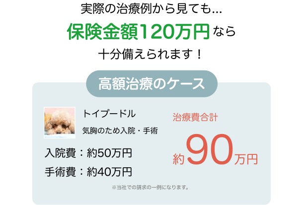実際の治療例から見ても十分備えられます