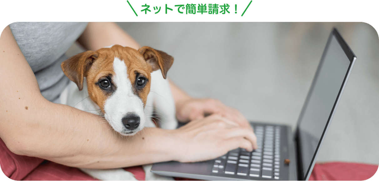 迅速お支払いのイメージ