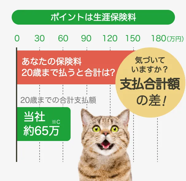 ポイントは生涯保険料 あなたの保険料20歳まで払うと合計は？ 20歳までの合計支払額 当社約65万 気づいていますか？支払い合計額の差！