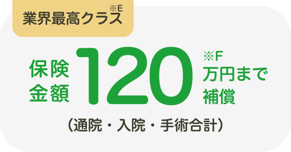 業界最高クラス 保険金額120万円まで補償 (通院・入院・手術合計)