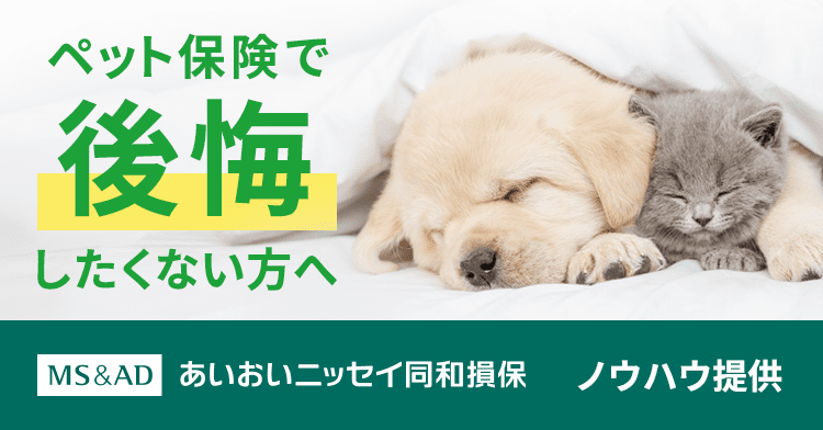 ペット保険で後悔したくない方へ MS&AD あいおいニッセイ同和損保 ノウハウ提供