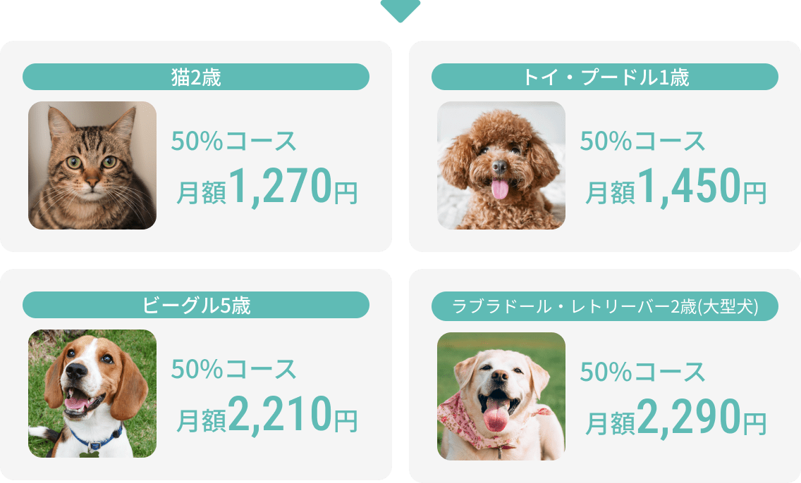 猫2歳 50%コース 月額1,270円...