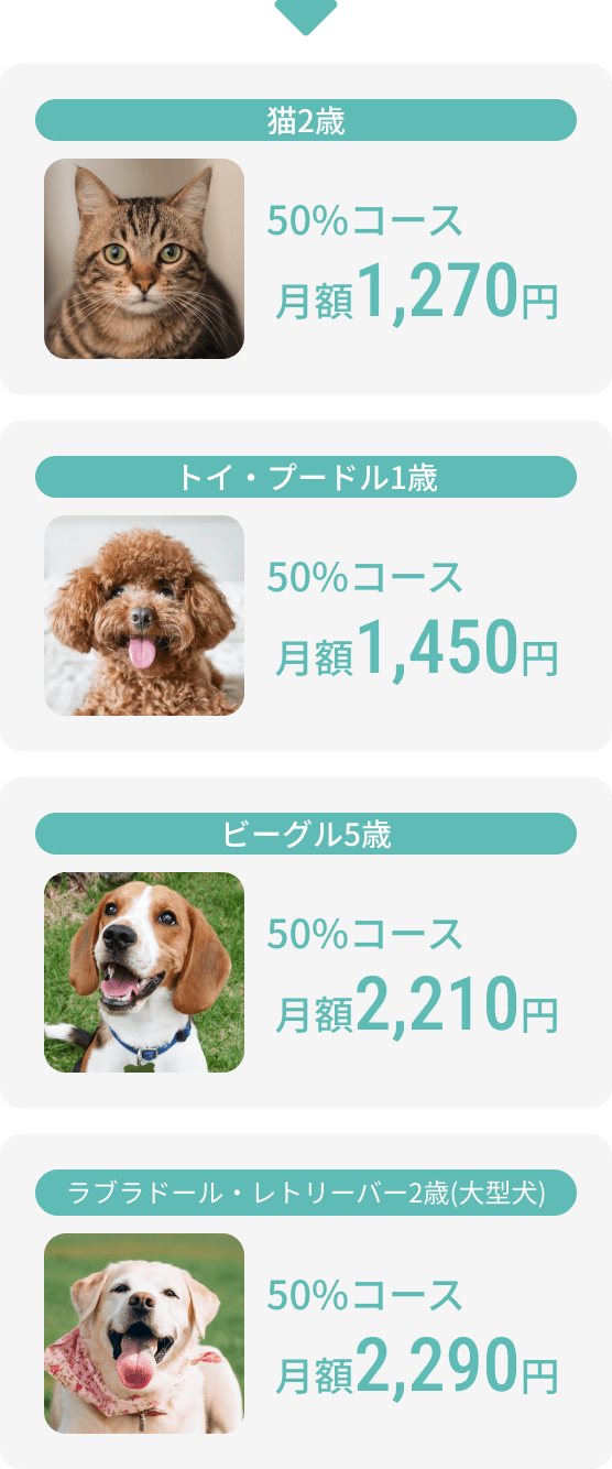 猫2歳 50%コース 月額1,270円...