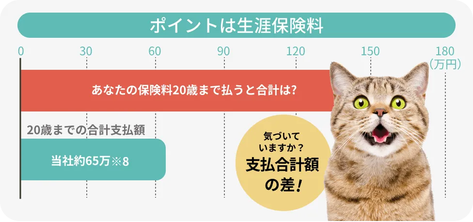 ポイントは生涯保険料