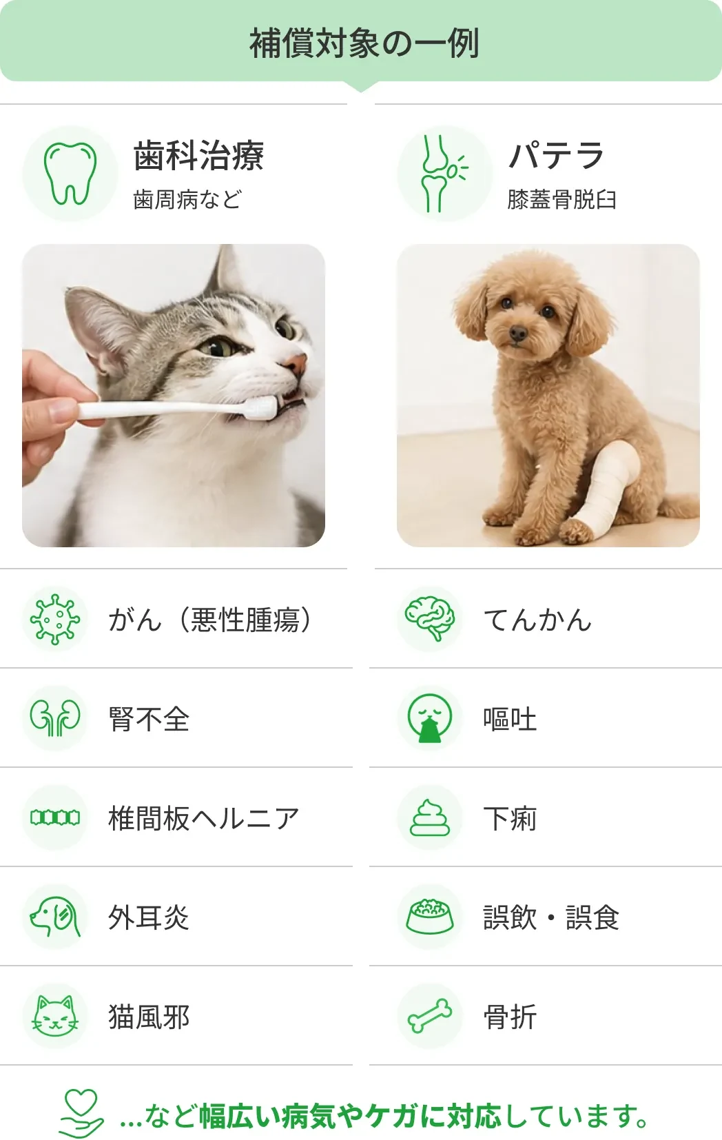 補償対象の一例(がん・てんかん・腎不全・椎間板ヘルニア・歯科治療・パテラ ほか)