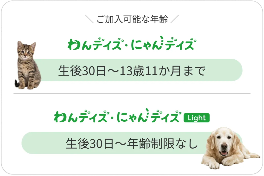 ご加入可能な年齢:わんデイズ・にゃんデイズは生後30日〜満11才11カ月、Lightは生後30日〜年齢制限なし