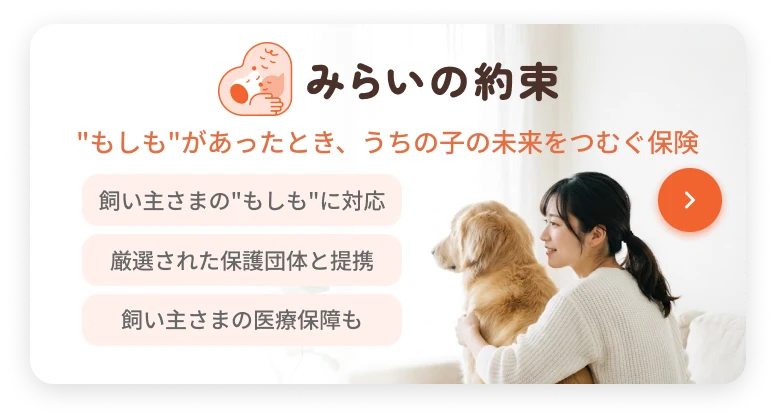みらいの約束|“もしも”があったとき、うちの子の未来をつむぐ保険