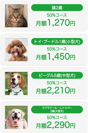 猫2歳 50%コース 月額1,270円 | トイ・プードル1歳 50%コース 月額1,450円 | ビーグル2歳 50%コース 月額2,210円 | ラブラドール・レトリーバー2歳(大型犬) 50%コース 月額2,290円